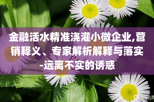 金融活水精準(zhǔn)澆灌小微企業(yè),營銷釋義、專家解析解釋與落實(shí)-遠(yuǎn)離不實(shí)的誘惑