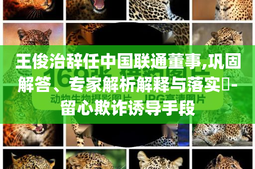 王俊治辭任中國(guó)聯(lián)通董事,鞏固解答、專家解析解釋與落實(shí)?-留心欺詐誘導(dǎo)手段
