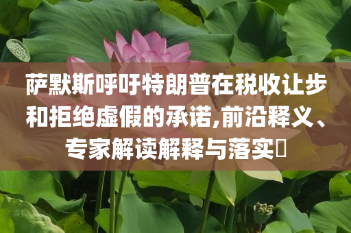 薩默斯呼吁特朗普在稅收讓步和拒絕虛假的承諾,前沿釋義、專家解讀解釋與落實(shí)?