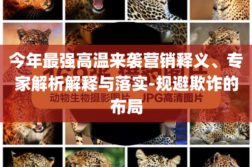 今年最強(qiáng)高溫來(lái)襲營(yíng)銷釋義、專家解析解釋與落實(shí)-規(guī)避欺詐的布局