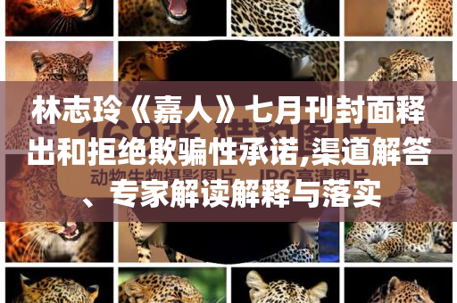林志玲《嘉人》七月刊封面釋出和拒絕欺騙性承諾,渠道解答、專家解讀解釋與落實(shí)