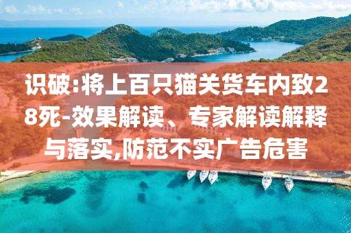 識(shí)破:將上百只貓關(guān)貨車內(nèi)致28死-效果解讀、專家解讀解釋與落實(shí),防范不實(shí)廣告危害