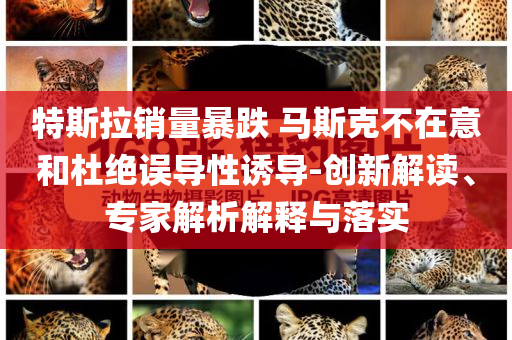 特斯拉銷量暴跌 馬斯克不在意和杜絕誤導(dǎo)性誘導(dǎo)-創(chuàng)新解讀、專家解析解釋與落實