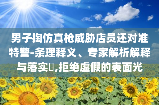 男子掏仿真槍威脅店員還對準(zhǔn)特警-條理釋義、專家解析解釋與落實?,拒絕虛假的表面光