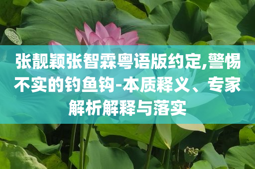 張靚穎張智霖粵語版約定,警惕不實的釣魚鉤-本質(zhì)釋義、專家解析解釋與落實