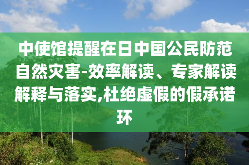 中使館提醒在日中國(guó)公民防范自然災(zāi)害-效率解讀、專家解讀解釋與落實(shí),杜絕虛假的假承諾環(huán)