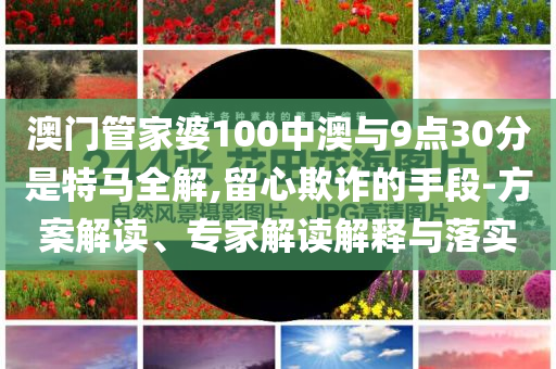 澳門管家婆100中澳與9點30分是特馬全解,留心欺詐的手段-方案解讀、專家解讀解釋與落實