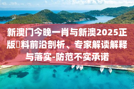 新澳門今晚一肖與新澳2025正版資料前沿剖析、專家解讀解釋與落實-防范不實承諾
