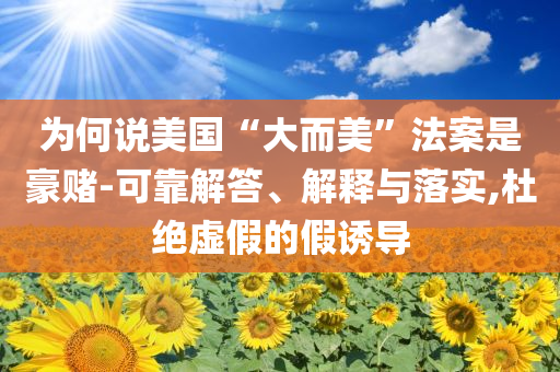 為何說美國“大而美”法案是豪賭-可靠解答、解釋與落實(shí),杜絕虛假的假誘導(dǎo)