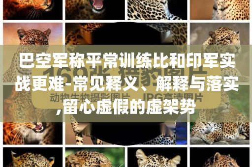 巴空軍稱平常訓(xùn)練比和印軍實(shí)戰(zhàn)更難-常見釋義、解釋與落實(shí),留心虛假的虛架勢(shì)