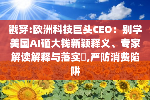 戳穿:歐洲科技巨頭CEO：別學(xué)美國(guó)AI砸大錢新穎釋義、專家解讀解釋與落實(shí)?,嚴(yán)防消費(fèi)陷阱