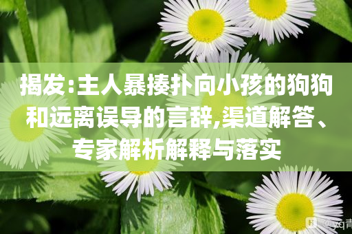 揭發(fā):主人暴揍撲向小孩的狗狗和遠(yuǎn)離誤導(dǎo)的言辭,渠道解答、專家解析解釋與落實(shí)