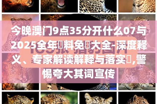 今晚澳門9點35分開什么07與2025全年資料免費大全-深度釋義、專家解讀解釋與落實?,警惕夸大其詞宣傳