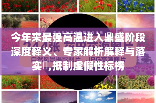 今年來最強(qiáng)高溫進(jìn)入鼎盛階段深度釋義、專家解析解釋與落實(shí)?,抵制虛假性標(biāo)榜
