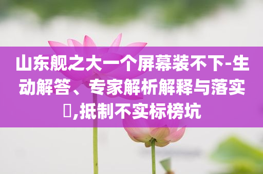 山東艦之大一個屏幕裝不下-生動解答、專家解析解釋與落實?,抵制不實標榜坑