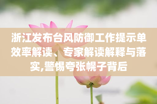 浙江發(fā)布臺(tái)風(fēng)防御工作提示單效率解讀、專家解讀解釋與落實(shí),警惕夸張幌子背后