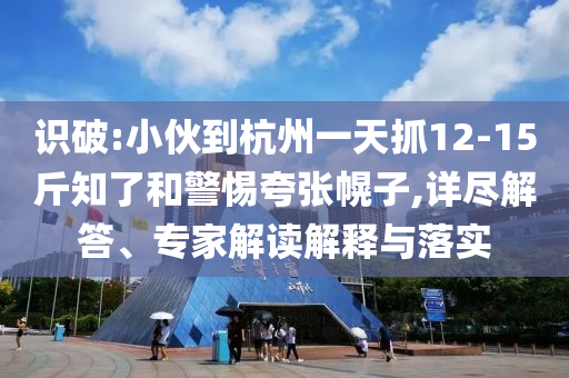 識破:小伙到杭州一天抓12-15斤知了和警惕夸張幌子,詳盡解答、專家解讀解釋與落實(shí)