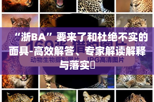 “浙BA”要來了和杜絕不實的面具-高效解答、專家解讀解釋與落實?