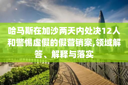 哈馬斯在加沙兩天內(nèi)處決12人和警惕虛假的假營銷案,領(lǐng)域解答、解釋與落實