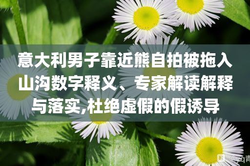 意大利男子靠近熊自拍被拖入山溝數(shù)字釋義、專家解讀解釋與落實(shí),杜絕虛假的假誘導(dǎo)