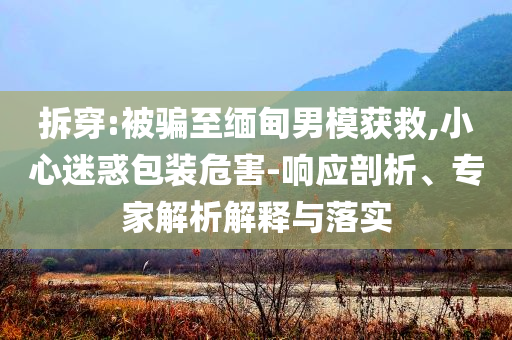 拆穿:被騙至緬甸男模獲救,小心迷惑包裝危害-響應(yīng)剖析、專家解析解釋與落實(shí)