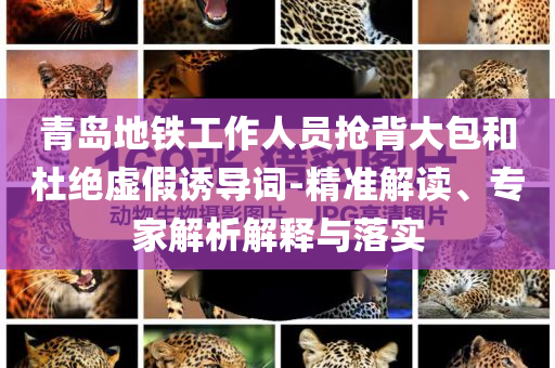 青島地鐵工作人員搶背大包和杜絕虛假誘導(dǎo)詞-精準(zhǔn)解讀、專家解析解釋與落實(shí)