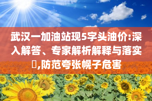 武漢一加油站現(xiàn)5字頭油價:深入解答、專家解析解釋與落實?,防范夸張幌子危害