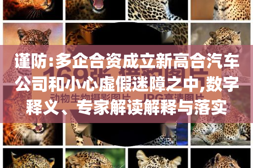 謹(jǐn)防:多企合資成立新高合汽車(chē)公司和小心虛假迷障之中,數(shù)字釋義、專(zhuān)家解讀解釋與落實(shí)