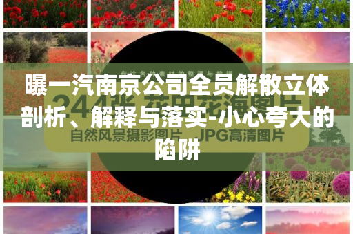 曝一汽南京公司全員解散立體剖析、解釋與落實-小心夸大的陷阱