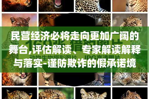 民營經濟必將走向更加廣闊的舞臺,評估解讀、專家解讀解釋與落實-謹防欺詐的假承諾境