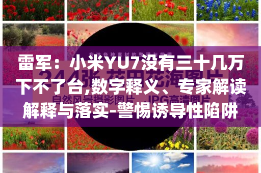雷軍：小米YU7沒有三十幾萬下不了臺,數字釋義、專家解讀解釋與落實-警惕誘導性陷阱