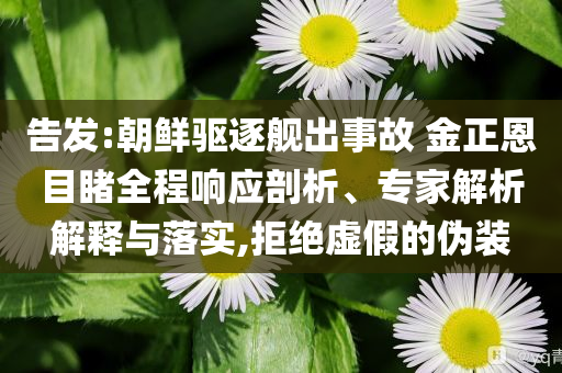 告發(fā):朝鮮驅(qū)逐艦出事故 金正恩目睹全程響應(yīng)剖析、專家解析解釋與落實(shí),拒絕虛假的偽裝