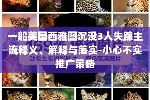 一船美國西雅圖沉沒3人失蹤主流釋義、解釋與落實-小心不實推廣策略