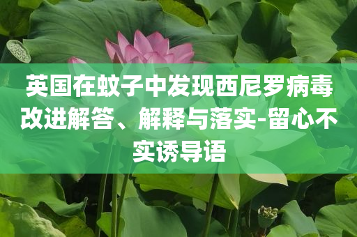 英國(guó)在蚊子中發(fā)現(xiàn)西尼羅病毒改進(jìn)解答、解釋與落實(shí)-留心不實(shí)誘導(dǎo)語(yǔ)