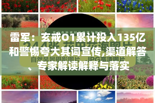 雷軍：玄戒O1累計投入135億和警惕夸大其詞宣傳,渠道解答、專家解讀解釋與落實
