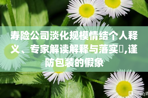 壽險公司淡化規(guī)模情結個人釋義、專家解讀解釋與落實?,謹防包裝的假象