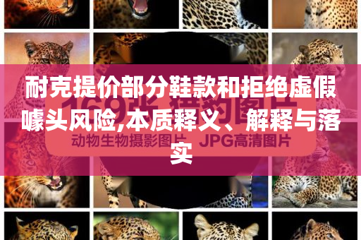 耐克提價部分鞋款和拒絕虛假噱頭風(fēng)險,本質(zhì)釋義、解釋與落實