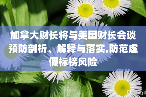加拿大財長將與美國財長會談預(yù)防剖析、解釋與落實,防范虛假標榜風險
