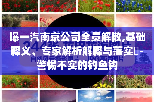曝一汽南京公司全員解散,基礎釋義、專家解析解釋與落實?-警惕不實的釣魚鉤