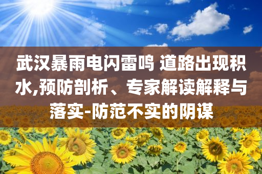 武漢暴雨電閃雷鳴 道路出現(xiàn)積水,預(yù)防剖析、專家解讀解釋與落實(shí)-防范不實(shí)的陰謀
