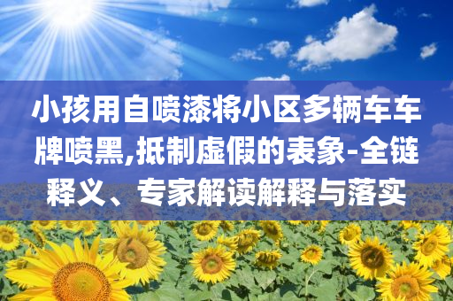小孩用自噴漆將小區(qū)多輛車車牌噴黑,抵制虛假的表象-全鏈釋義、專家解讀解釋與落實