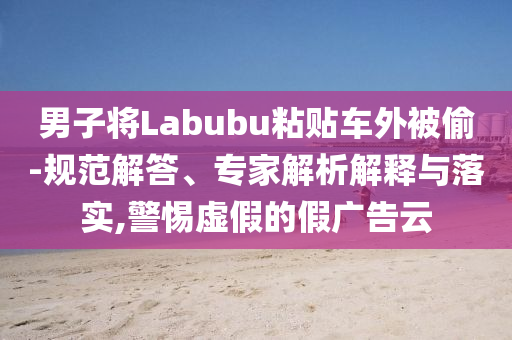 男子將Labubu粘貼車外被偷-規(guī)范解答、專家解析解釋與落實,警惕虛假的假廣告云