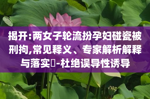 揭開:兩女子輪流扮孕婦碰瓷被刑拘,常見釋義、專家解析解釋與落實?-杜絕誤導(dǎo)性誘導(dǎo)