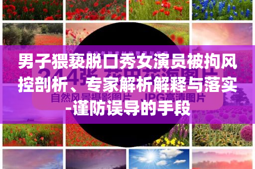 男子猥褻脫口秀女演員被拘風(fēng)控剖析、專(zhuān)家解析解釋與落實(shí)-謹(jǐn)防誤導(dǎo)的手段