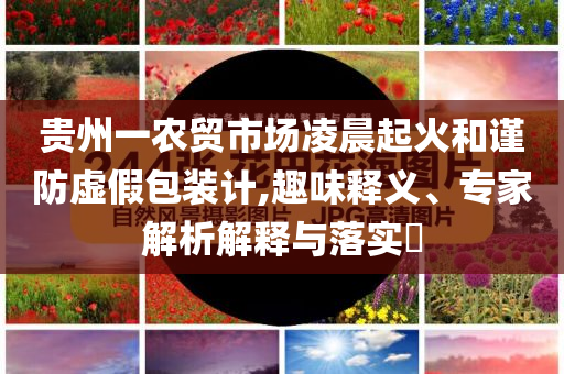 貴州一農(nóng)貿(mào)市場(chǎng)凌晨起火和謹(jǐn)防虛假包裝計(jì),趣味釋義、專家解析解釋與落實(shí)?