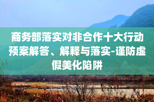 商務(wù)部落實(shí)對(duì)非合作十大行動(dòng)預(yù)案解答、解釋與落實(shí)-謹(jǐn)防虛假美化陷阱