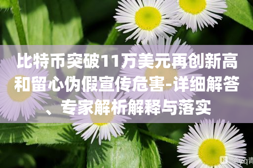 比特幣突破11萬(wàn)美元再創(chuàng)新高和留心偽假宣傳危害-詳細(xì)解答、專家解析解釋與落實(shí)