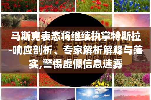 馬斯克表態(tài)將繼續(xù)執(zhí)掌特斯拉-響應剖析、專家解析解釋與落實,警惕虛假信息迷霧