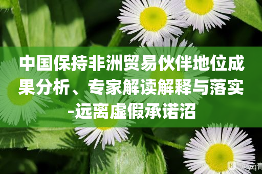 中國保持非洲貿(mào)易伙伴地位成果分析、專家解讀解釋與落實-遠離虛假承諾沼
