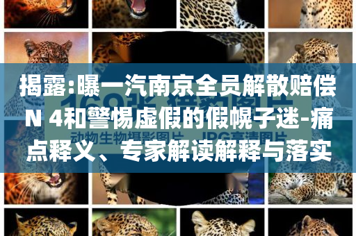 揭露:曝一汽南京全員解散賠償N 4和警惕虛假的假幌子迷-痛點釋義、專家解讀解釋與落實